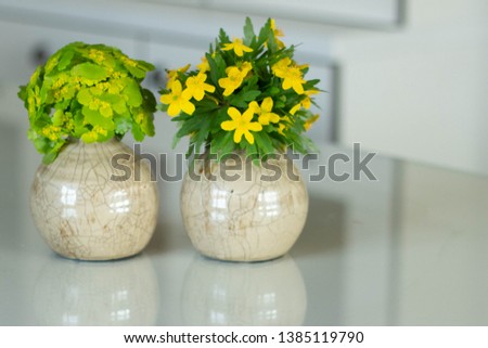 Bouquets of bright yellow and green wildflowers in ceramic vases on glass table. Warm summer or spring background