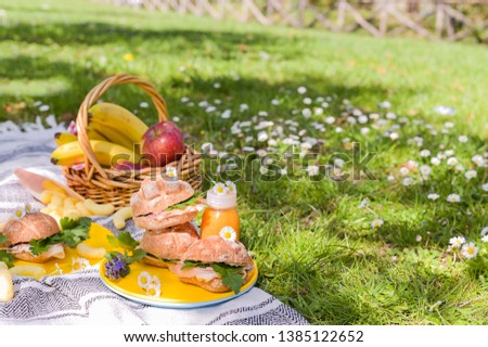Lunch in the park in the open air. Family picnic on green grass. Sandwiches and drinks for a snack