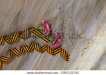 Two pink carnations, Saint George ribbon on a wooden surface. Closeup