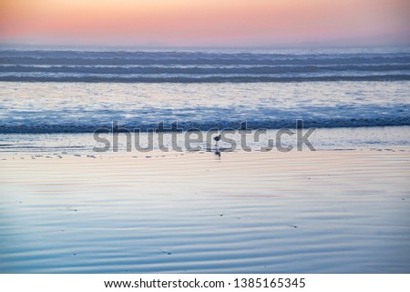sunset on the beach of Pismo Beach in California, a water sports paradise
