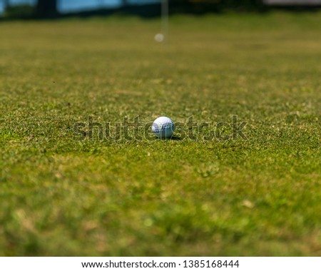 Golf Course Golf Ball Putting