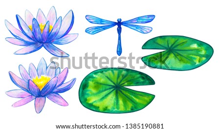 Blue pink water lilies and green leaves and dragonfly. Set of elements. Hand drawn watercolor illustration. Isolated on white background.