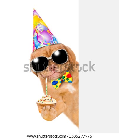 Happy puppy with sunglasses and birthday hat holding cake behind empty white board. isolated on white background