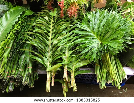 Bundles of decorative green plant leaves at wholesale flower shop


