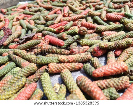 Long pepper, Indian long pepper, Javanese long pepper (Piper retrofractum Vahl). the process of drying traditional raw materials