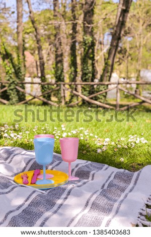 Colored plastic picnic utensils. Sunny day in the park and green grass with flowers
