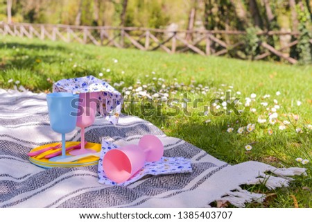 Colored plastic dishes and picnic snacks. Sunny day in the park