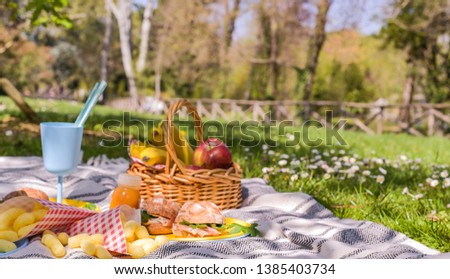 Lunch in the park on the green grass. Summer sunny day and picnic basket