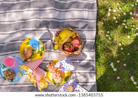 A basket of fruit and sandwiches for a picnic outdoors in the park. Nice sunny day and summer lunch