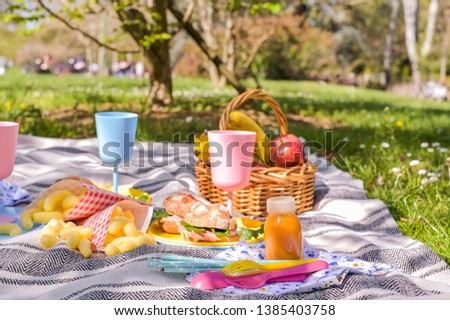 Colored plastic dishes and fruit basket, outdoor picnic sandwiches in the park. Nice sunny day and summer lunch