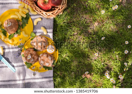 Fruit basket and picnic snacks. Sunny day in the park and green grass with flowers