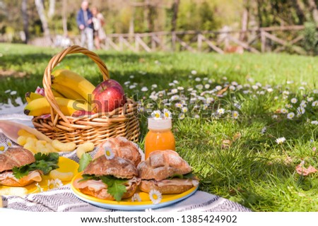 Fruit basket and picnic snacks. Sunny day in the park and green grass with flowers