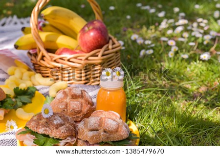 Sunny day in the park. Picnic with hamburgers and fruits on the green grass