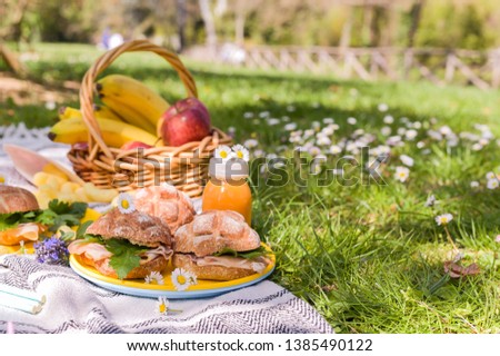 Picnic on the green grass in the park. Nice summer sunny day and food outdoors