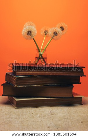 Beautiful five dandelions in glass vase on a old books and coral orange background.