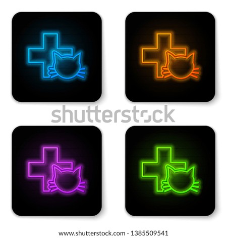 Glowing neon Veterinary clinic symbol icon isolated on white background. Cross with cat veterinary care. Pet First Aid sign. Black square button. Vector Illustration