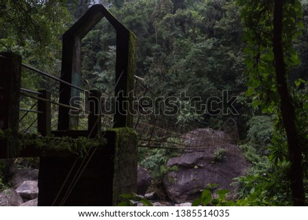 strong bridge covered with moss over the river in the jungle