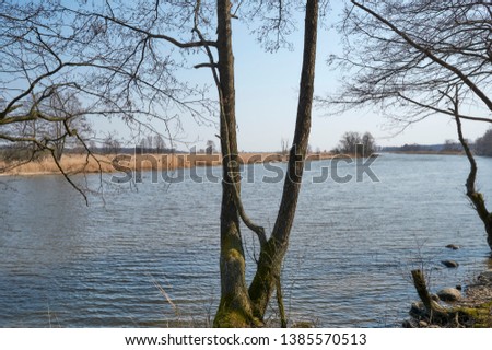 The Pregel river (Kaliningrad, Russia)
