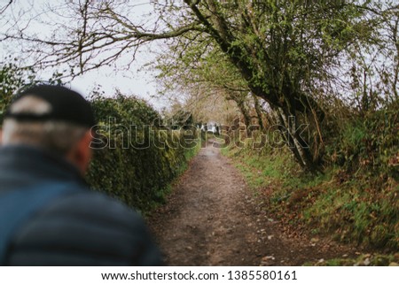 Trekking route in a green landscape and man crossing scene