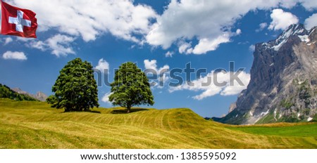 Swiss beauty, flag, meadows and trees in Grindelwald valley, under Wetterhorn mount, Bernese Oberland,Switzerland,Europe