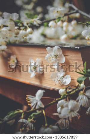 Old book closed with cherry flowers between pages. View from a side. Spring time still life photography. Wallpaper, Background