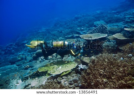 Diver with camera in deep. Underwater photographer