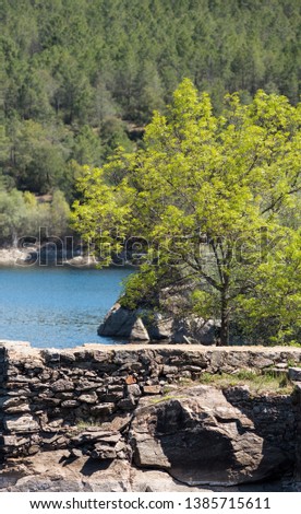 Old reservoir in Madrid with tree (El Villar).