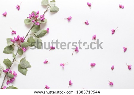 Flowers composition. Spring pink flowers on a branch and light green young leaves on textured white paper. Spring background for design and decoration