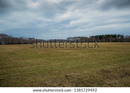 field in spring with grass before sowing