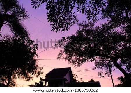Silhouette of trees and purplish twilight sky. This picture is suitable for wallpaper or background.