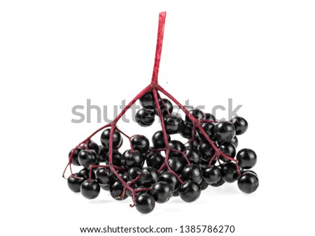 Black elderberry fresh fruit isolated on white background