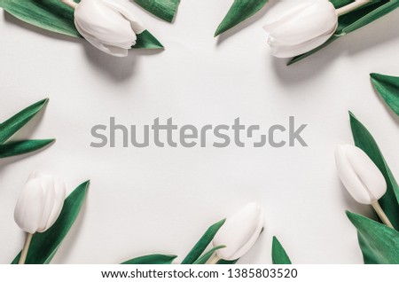tulip frame isolated on white paper background