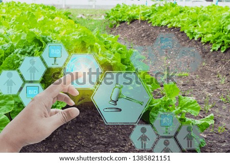 Businessmen use finger touch interface screen, auction agricultural products modern wireless network 5G technologies,with farm background,agriculture technology concepts development internet of things