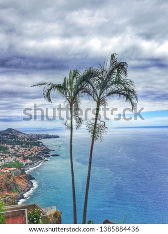 two palm trees with a coast landscape in the background, with a lot of clouds in the sky.