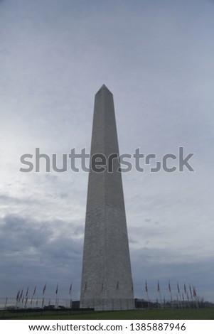 WASHINGTON MONUMENT, Washington DC, Cherry Blossom, Spring