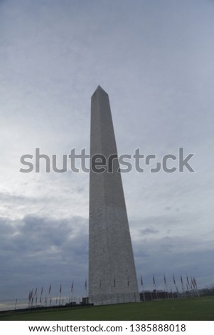 WASHINGTON MONUMENT, Washington DC, Cherry Blossom, Spring