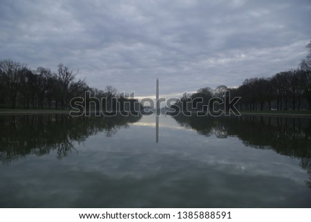 WASHINGTON MONUMENT, Washington DC, Cherry Blossom, Spring
