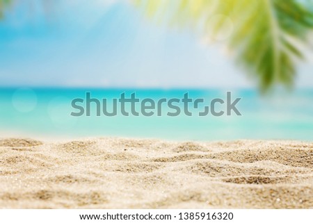 Sunny tropical beach with palm trees background, sunlight on sand, copy space