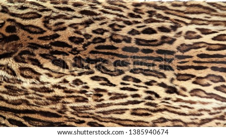 Close-up view of the skin of a leopard.
Leopard skin texture for background.
Leopard fur texture, real fur
