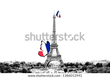 Black and white photo of Paris panorama with a view of the Eiffel Tower with butterflies around in the colors of the national flag of France. Isolated on white background.