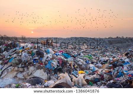 Birds gulls fly over a landfill in Europe, like over a huge sea of garbage in search of food. Waste lies thickly up to the forest, attracting birds and rodents Royalty-Free Stock Photo #1386041876