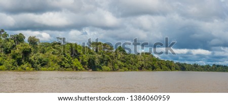 Panoramic view of Coati Lagoon near the Javari River, the tributary of the Amazon River, Amazonia. Selva on the border of Brazil and Peru. South America.