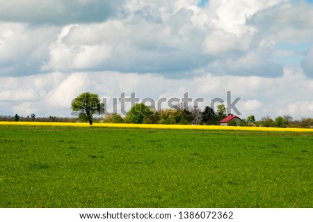 flowering field of a good spring day on a bright sky and valley with majestic mountains