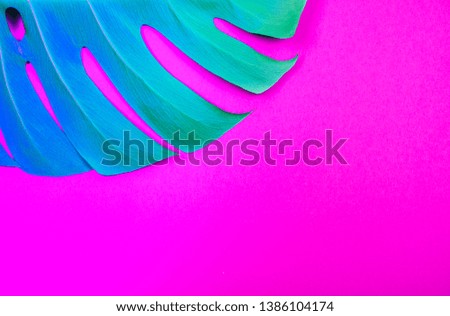 Creative  blue-green neon gradient tropical plant green monstera leaf on acid plastic pink background. Trendy summer and tropical concept. Place for text.