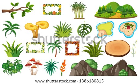 Set of ornamental plants illustration