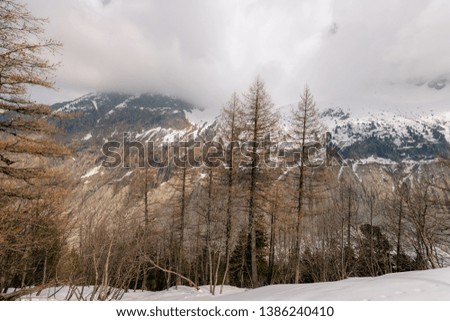 Mont Blanc mountain covered with ICE and trees