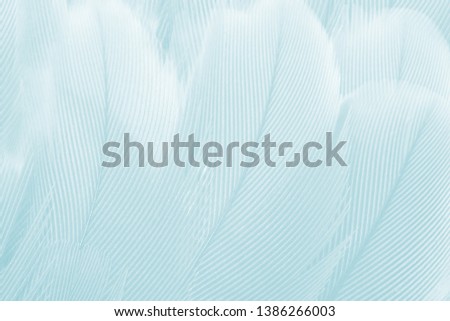Beautiful blue green turquoise vintage color trends feather pattern texture background