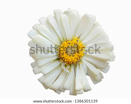 White cutters  White background with clipping path
