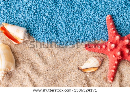Summer time concept with seashells and starfish on sand. Top view.