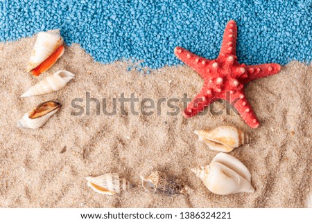 Summer time concept with seashells and starfish on sand. Top view.